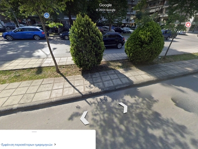 Δενδροφύτευση Χηλής