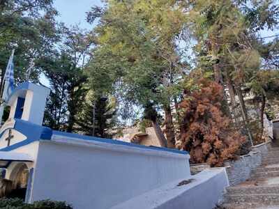 Παρεκκλήσι Αγίας Παρασκευής - Επικινδυνότητα Δέντρων