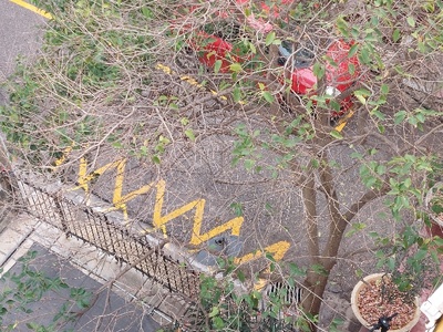 ΚΙΤΡΙΝΗ ΔΙΑΓΡΑΜΜΙΣΗ  Ιμερας