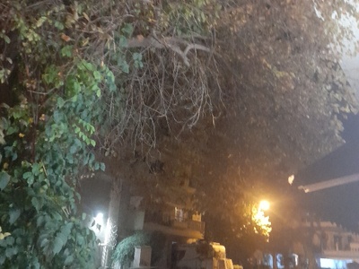 αμμεσα 	Αιγαιου 45