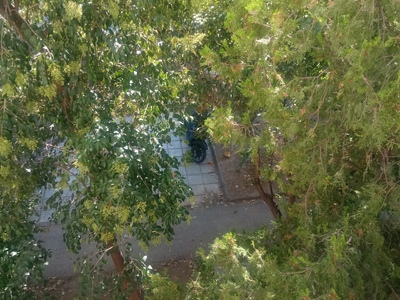 Παράνομο παρκάρισμα μηχανης Θερμαικου