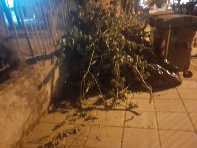 αμμεσα 	Κολοτουρου