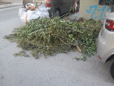 αμμεσα 	Καλαβρυτων