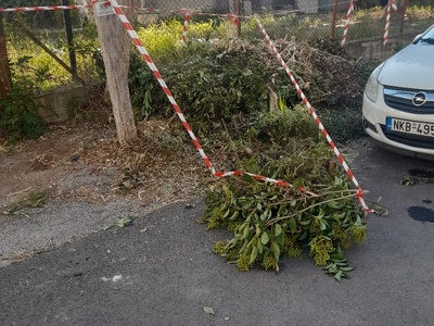 αμμεσα  Χειμωνιδου