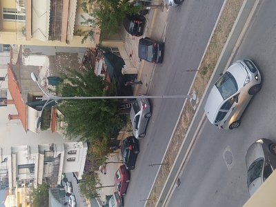 Κόψιμο δέντρου επί της ποντου