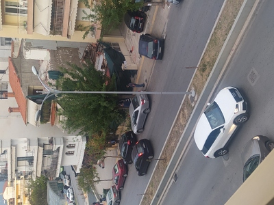 Κόψιμο δέντρου επί της ποντου