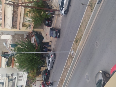 Κόψιμο δέντρου επί της ποντου