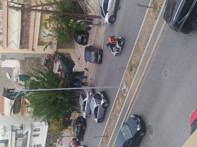 Ριζικό κόψιμο δεντρου 	Πόντου