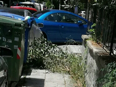 Αποκομιδή κλαδιών