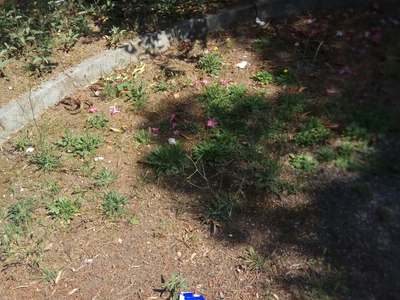 Πάρκο γεμάτο σκουπίδια