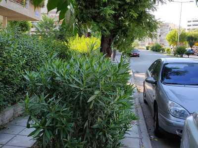 Δύσκολη διάβαση χωρίς κλάδεμα