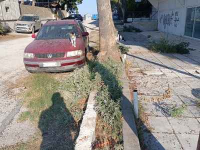 Εγκαταλελειμμένο όχημα Μικράς Ασίας