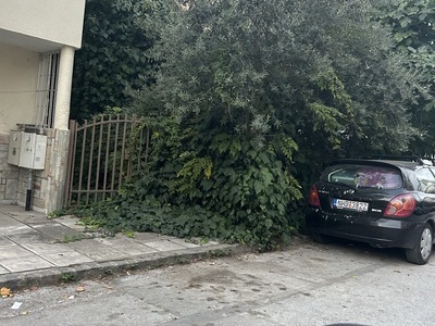 Καθαρισμός οικοπέδου