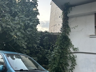 Καθαρισμός οικοπέδου