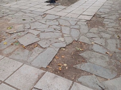Πλακες στο Παρκο Κηφισιας