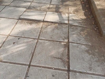 Πλακες στο Παρκο Κηφισιας