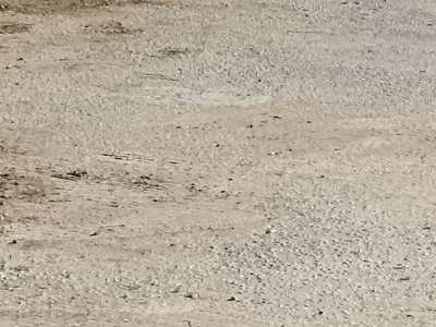 Καθαρισμός σημείου  Νίκης