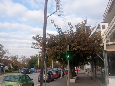 Κλάδεμα δέντρων Νικολάου Πλαστήρα