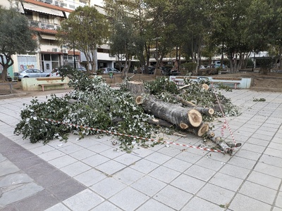 Καταστοφή δέντρων παρκο Κηφισιάς