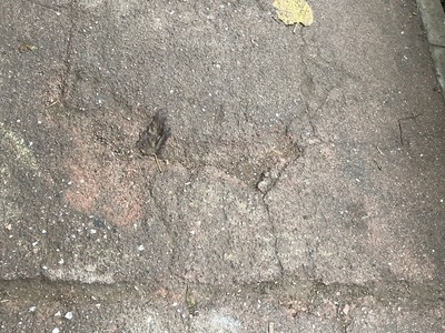 τρυπες παγιδες στον ποδηλατοδρομο της μεταμορφωσεως