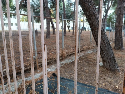 Αντικατάσταση κομμενων δέντρων  	Κολοτούρου