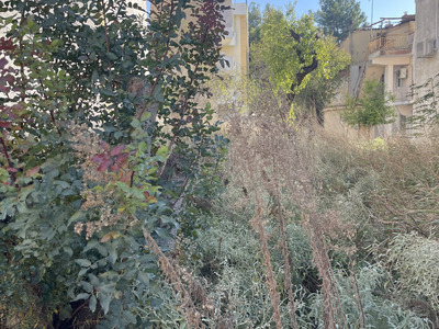 Οικόπεδα με πυκνή βλάστηση (κλάδεμα δέντρου και κόψιμο χόρτων) Παναγιώτη Χαραλαμπίδη