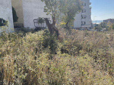 Οικόπεδα με πυκνή βλάστηση (κλάδεμα δέντρου και κόψιμο χόρτων) Παναγιώτη Χαραλαμπίδη
