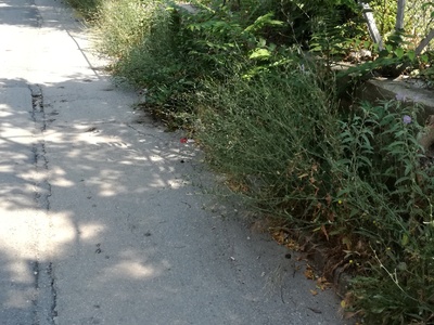 Καθαρισμός χόρτων