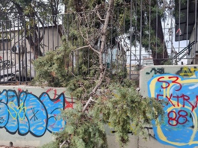 πεσμενα κλαδιά   Αγ.Νικολαου