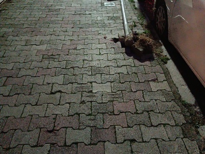 ταμπέλα σήμανσης 	Καππαδοκίας