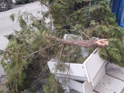 Παπαδιαντη 2