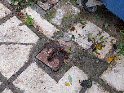 Τρεχουμενο νερό  Παπαφλέσσα με Αγ. Παντελεήμωνος