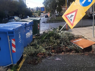 Κλαδιά και μεγάλα αντικείμενα δίπλα στους κάδους  Ισμήνης