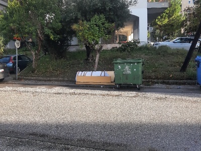 Κλαδιά και μεγάλα αντικείμενα δίπλα στους κάδους  Ισμήνης