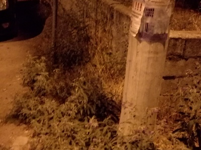 Καθαρισμός χόρτων