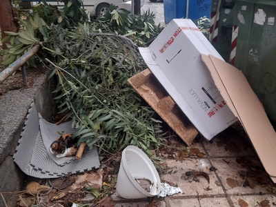 ΦΑΝΑΡΙΟΥ 	Κλαδιά