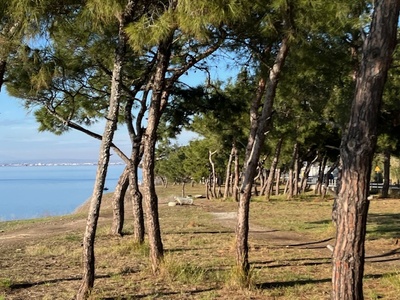 ΝΕΑ ΠΑΓΚΑΚΙΑ