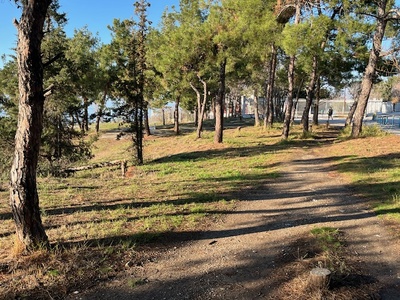 ΝΕΑ ΠΑΓΚΑΚΙΑ