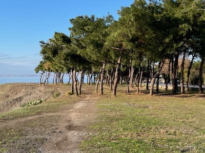 ΝΕΑ ΠΑΓΚΑΚΙΑ