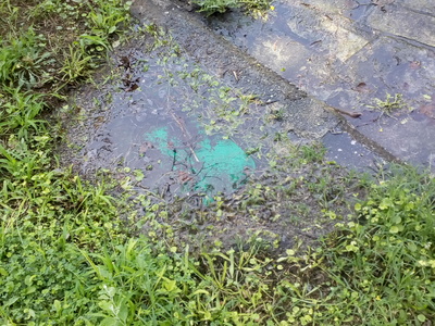 Διαρροή αρδευτικό