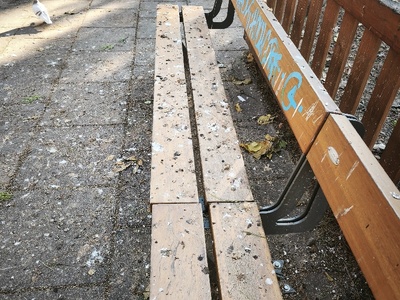Παιδικη χαρά Αιγαίου καθαρισμός και έλεγχος δέντρων