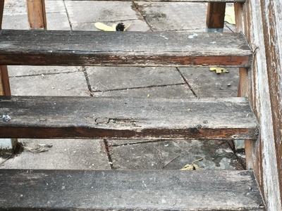 Παιδικη χαρά Αιγαίου καθαρισμός και έλεγχος δέντρων