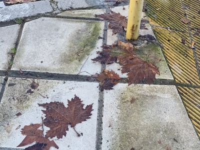 Διαρροή 	Καπετάν Γκόνη