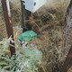 Αντιμετώπιση υψηλού κινδύνου