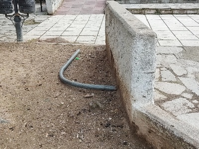 Πάρκο της Κηφισιάς