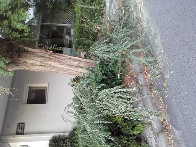 Παρεμποδιση ορατοτητας 