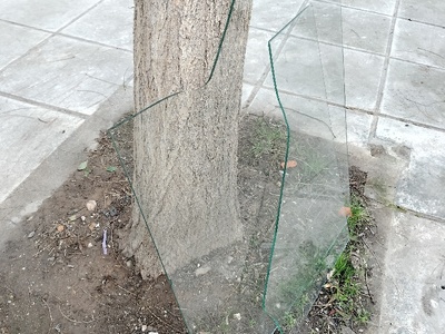 Απομάκρυνση τζαμιών Ευριπίδου