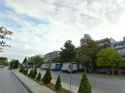 Δενδροφύτευση
