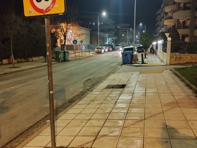 ΦΥΤΕΥΣΗ ΔΕΝΤΡΩΝ