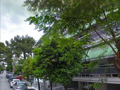 Φύτευση δέντρων